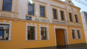 Гостиница Penzion Podzámčí  Ярославице